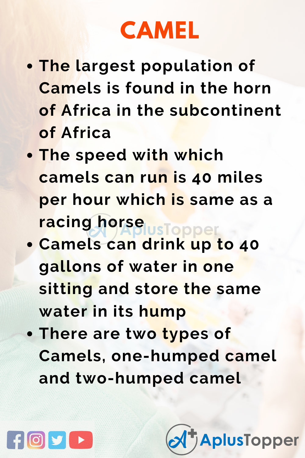 10 Lines on Camel for Higher Class Students