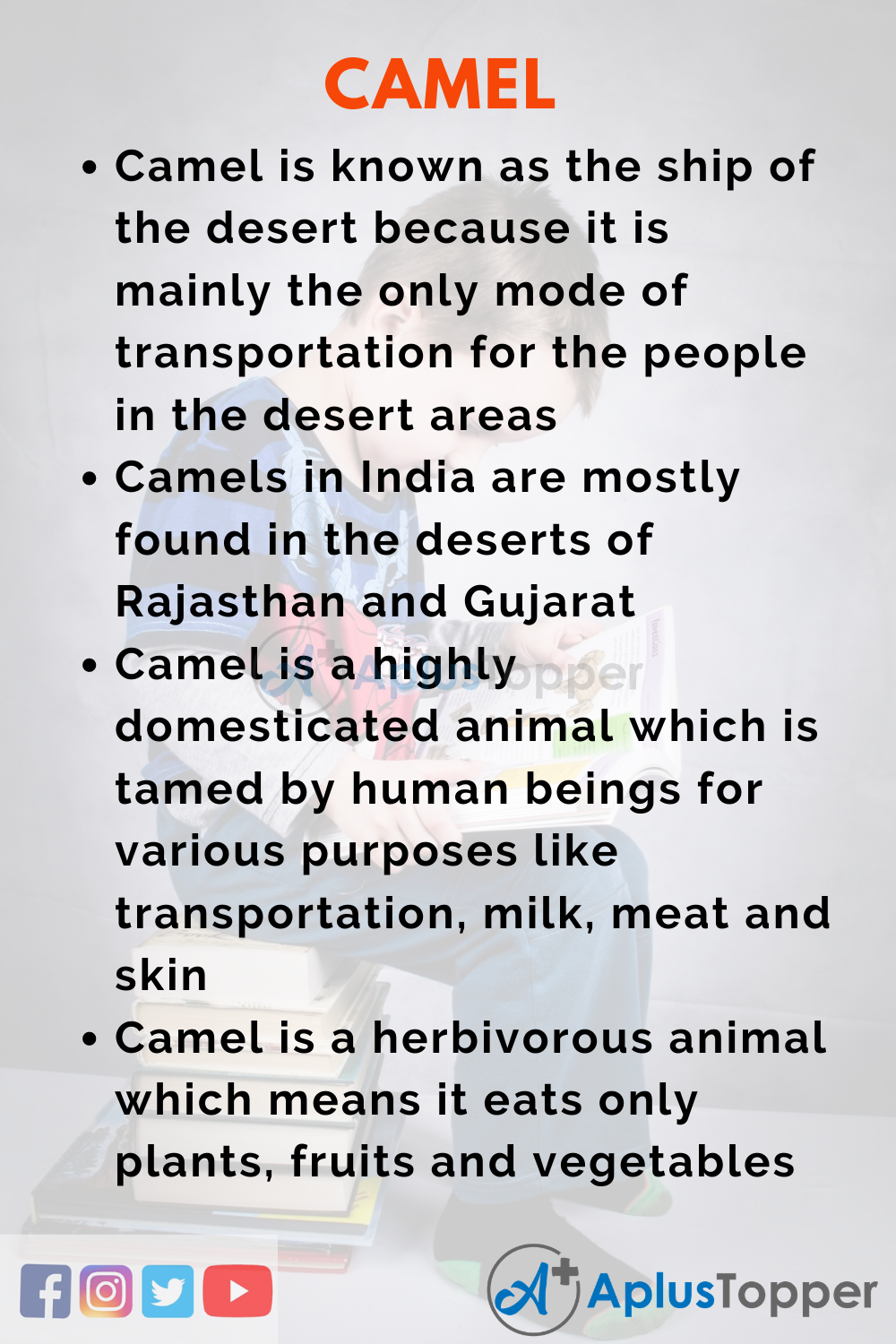 10 Lines on Camel for Kids