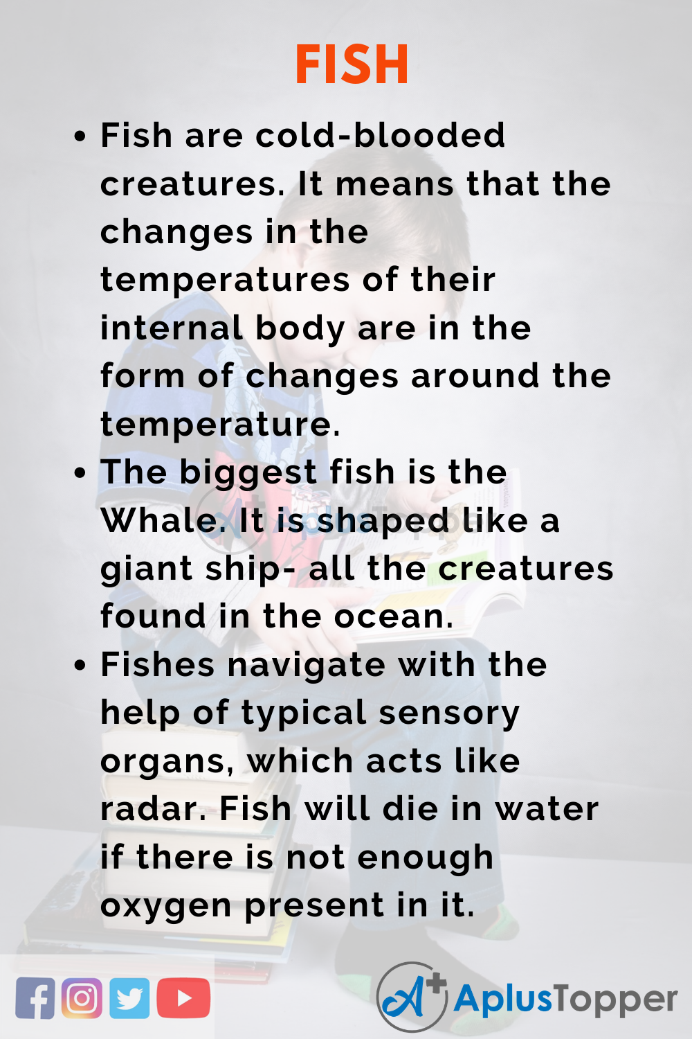 10 Lines on Fish for Higher Class Students