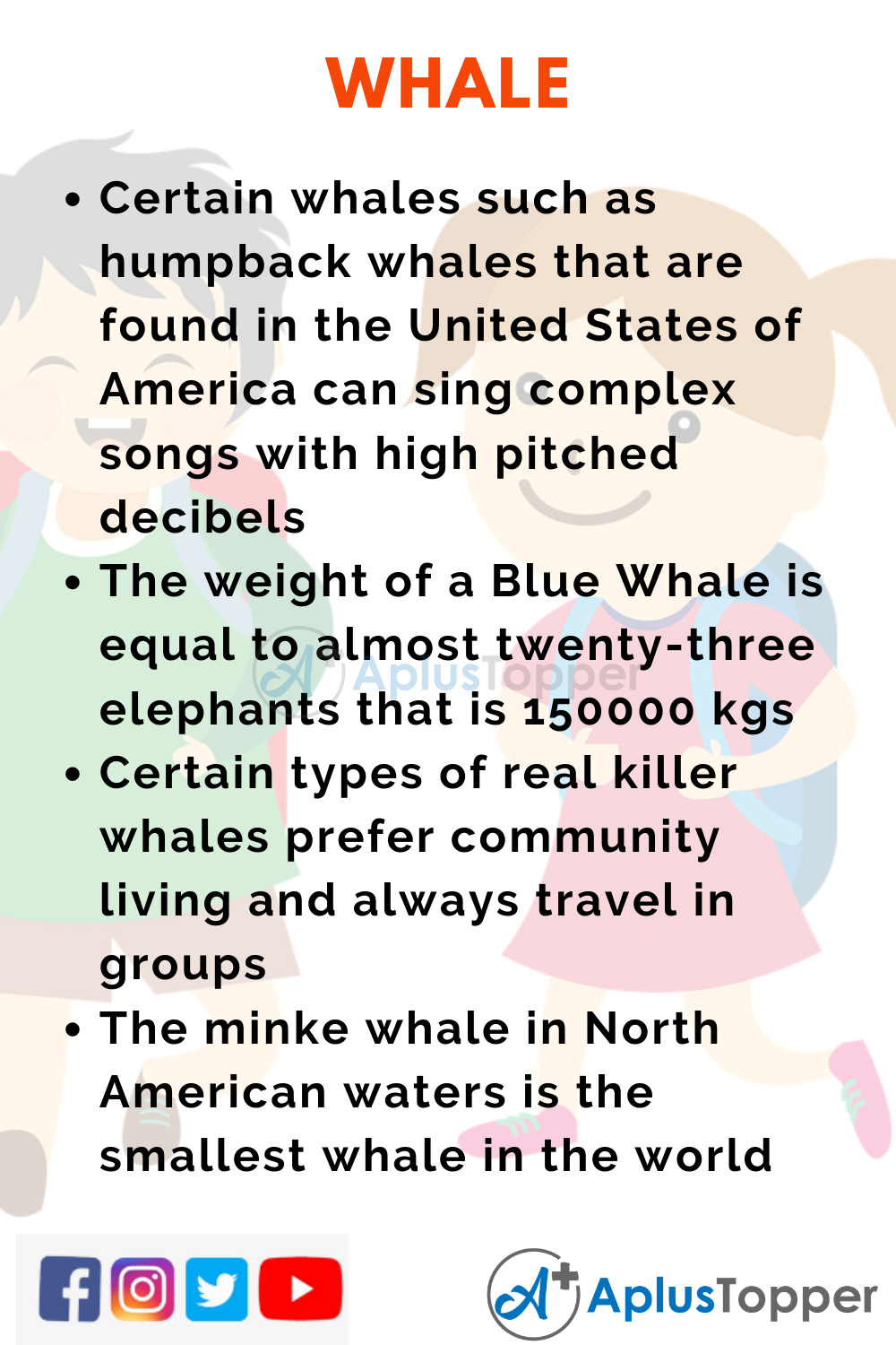 10 Lines on Whale for Higher Class Students