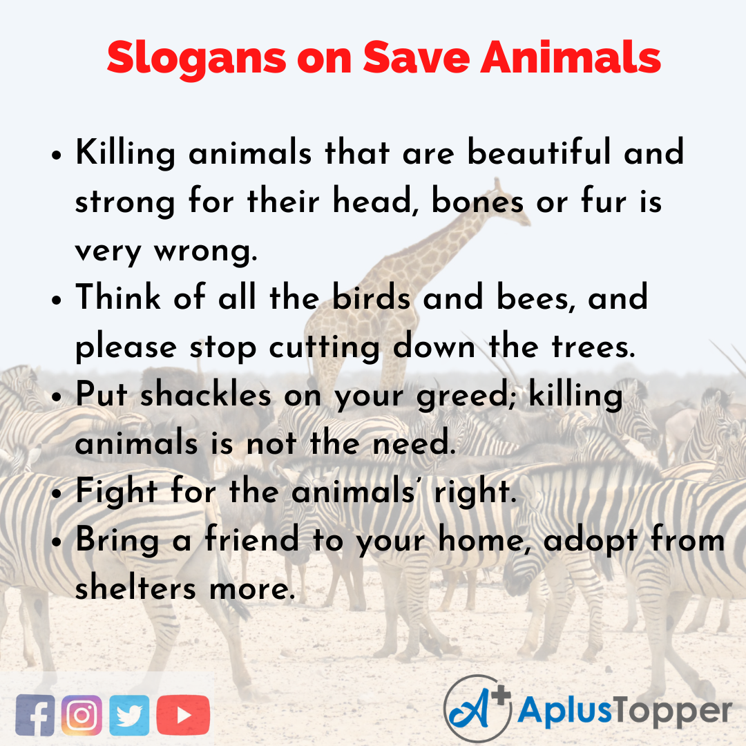 5 Save Animals Slogans in English