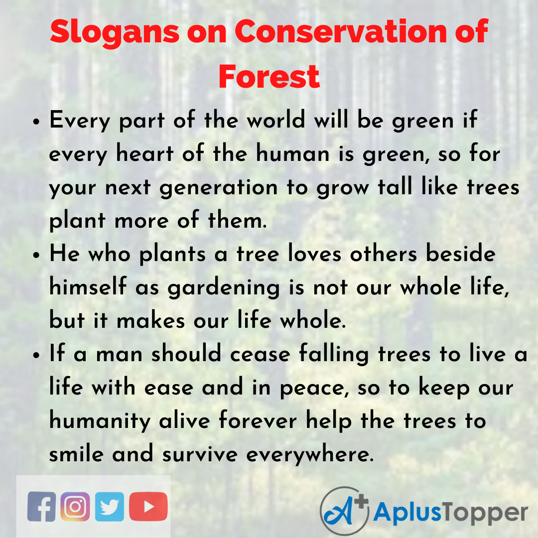 5 Slogans on Conservation of Forest in English