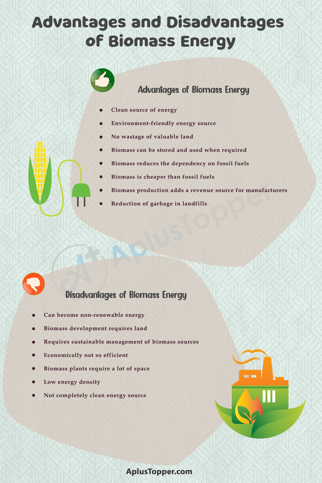 Advantages and Disadvantages of Biomass Energy