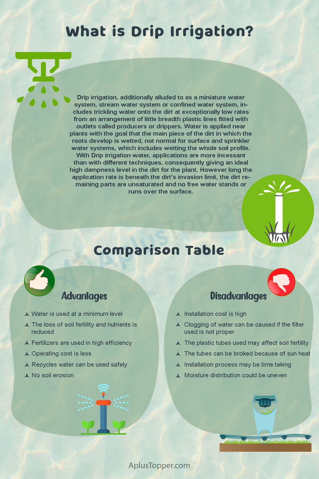 Advantages and Disadvantages of Drip Irrigation 2