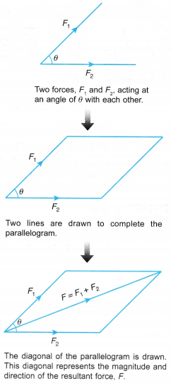 Analysing Forces in Equilibrium 19