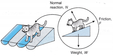 Analysing Forces in Equilibrium 29