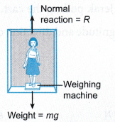 Analysing Forces in Equilibrium 6