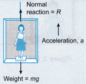 Analysing Forces in Equilibrium 7