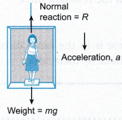 Analysing Forces in Equilibrium 8