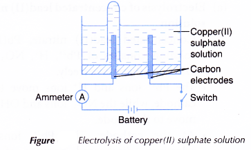 Analysing the Electrolysis of Aqueous Solutions 7