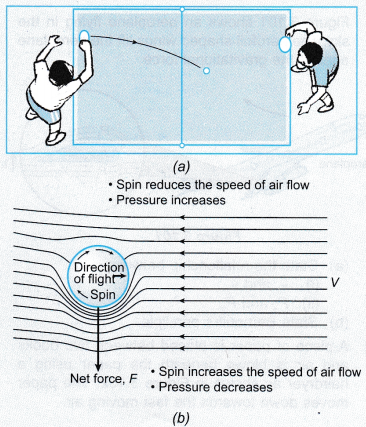 Applications of Bernoulli’s Principle 5