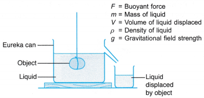 Archimedes's Principle 1