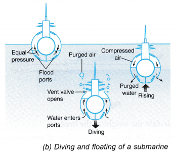 Archimedes's Principle 17