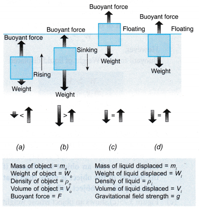 Archimedes's Principle 4