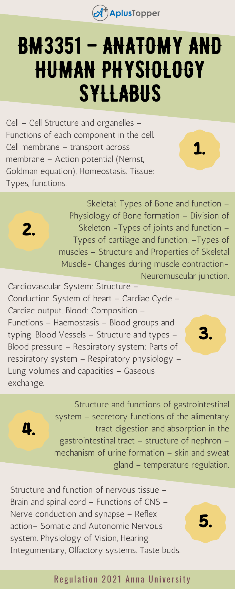 BM3351 - Anatomy and Human Physiology Syllabus Regulation 2021 Anna University