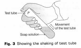 CBSE Class 10 Science Lab Manual – Cleaning Capacity of Soap in Hard and Soft Water 4