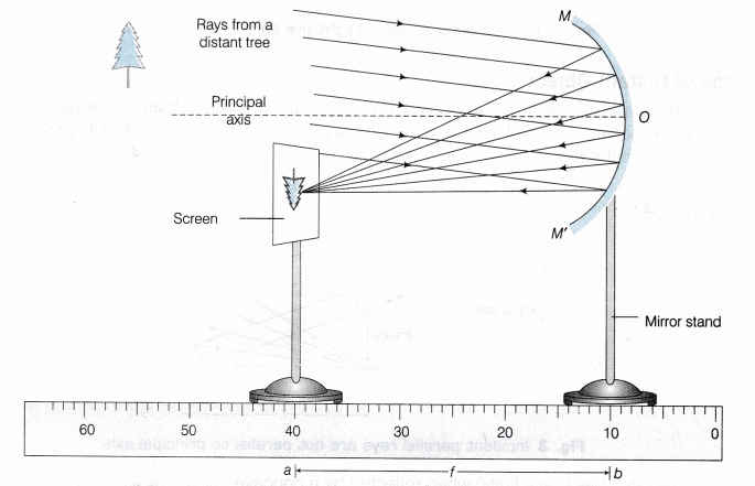 CBSE Class 10 Science Lab Manual – Focal Length of Concave Mirror and Convex Lens 4