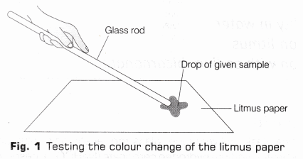 CBSE Class 10 Science Lab Manual – Properties of Acetic Acid 2