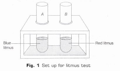 CBSE Class 10 Science Lab Manual – Properties of Acids and Bases 10