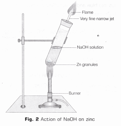 CBSE Class 10 Science Lab Manual – Properties of Acids and Bases 11