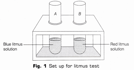 CBSE Class 10 Science Lab Manual – Properties of Acids and Bases 4