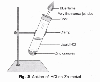 CBSE Class 10 Science Lab Manual – Properties of Acids and Bases 5