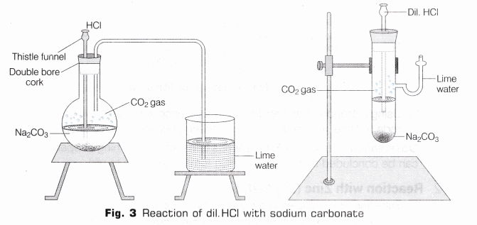 CBSE Class 10 Science Lab Manual – Properties of Acids and Bases 6