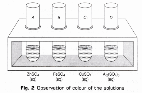 CBSE Class 10 Science Lab Manual – Reactivity Series 3