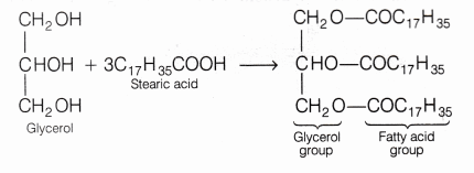 CBSE Class 10 Science Lab Manual – Soap Preparation 1