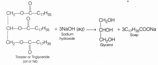 CBSE Class 10 Science Lab Manual – Soap Preparation 2