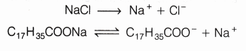 CBSE Class 10 Science Lab Manual – Soap Preparation 3