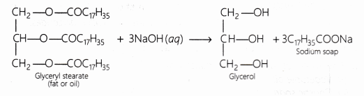 CBSE Class 10 Science Lab Manual – Soap Preparation 6