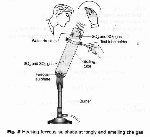 CBSE Class 10 Science Lab Manual – Types of Reactions 10