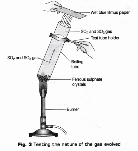 CBSE Class 10 Science Lab Manual – Types of Reactions 11