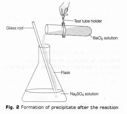 CBSE Class 10 Science Lab Manual – Types of Reactions 21