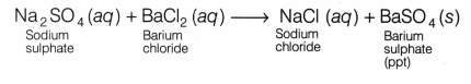 CBSE Class 10 Science Lab Manual – Types of Reactions 22