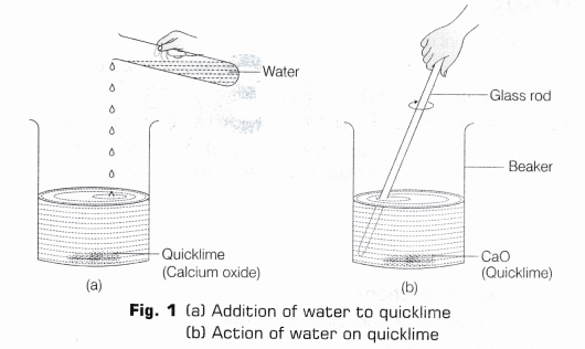 CBSE Class 10 Science Lab Manual – Types of Reactions 3