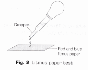 CBSE Class 10 Science Lab Manual – Types of Reactions 4