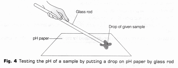 CBSE Class 10 Science Lab Manual – pH of Samples 4