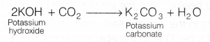 CBSE Class 10 Science Lab Manual - CO2 is Released During Respiration 3