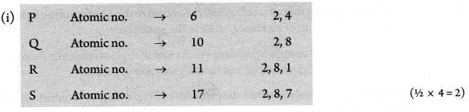 CBSE Sample Papers for Class 10 Science Paper Ans 13.