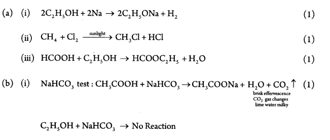 CBSE Sample Papers for Class 10 Science Paper Ans 16.1