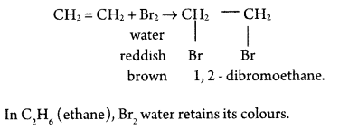 CBSE Sample Papers for Class 10 Science Paper Ans 16.2