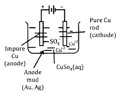 CBSE Sample Papers for Class 10 Science Paper Ans 17.