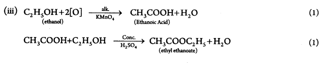 CBSE Sample Papers for Class 10 Science Paper Ans 17.2