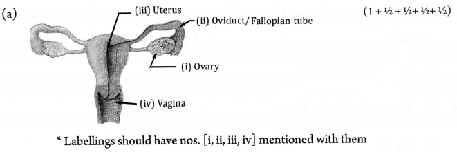 CBSE Sample Papers for Class 10 Science Paper Ans 18.1