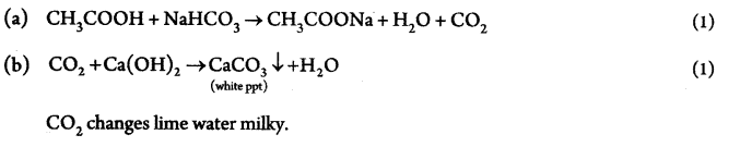 CBSE Sample Papers for Class 10 Science Paper Ans 24.