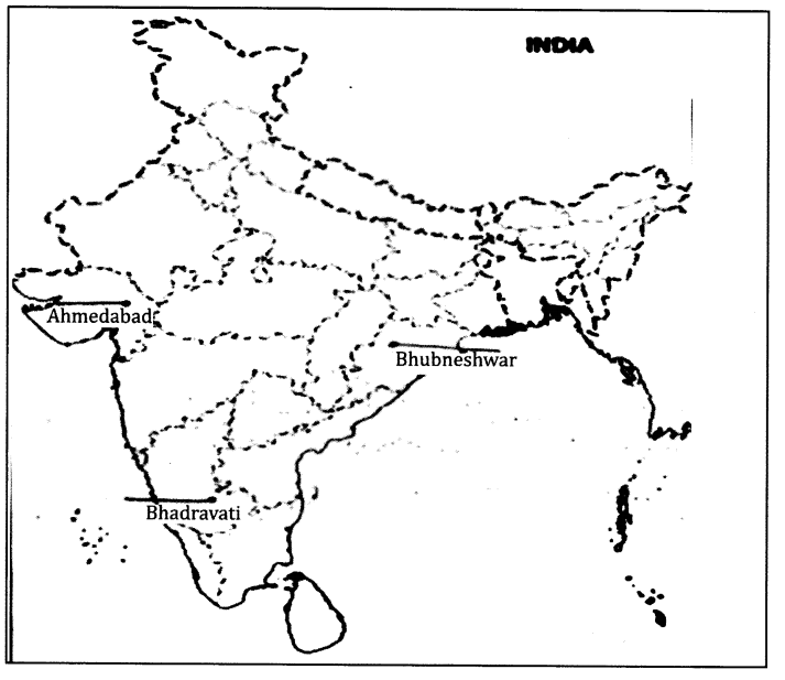 CBSE Sample Papers for Class 10 Social Science Paper 2 28