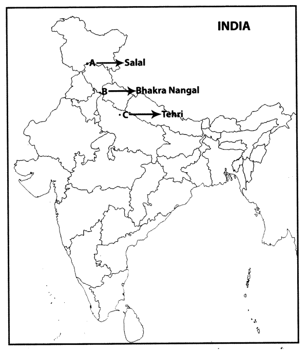 CBSE Sample Papers for Class 10 Social Science Paper 3 27