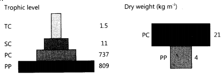 CBSE Sample Papers for Class 12 Biology Paper 1.1